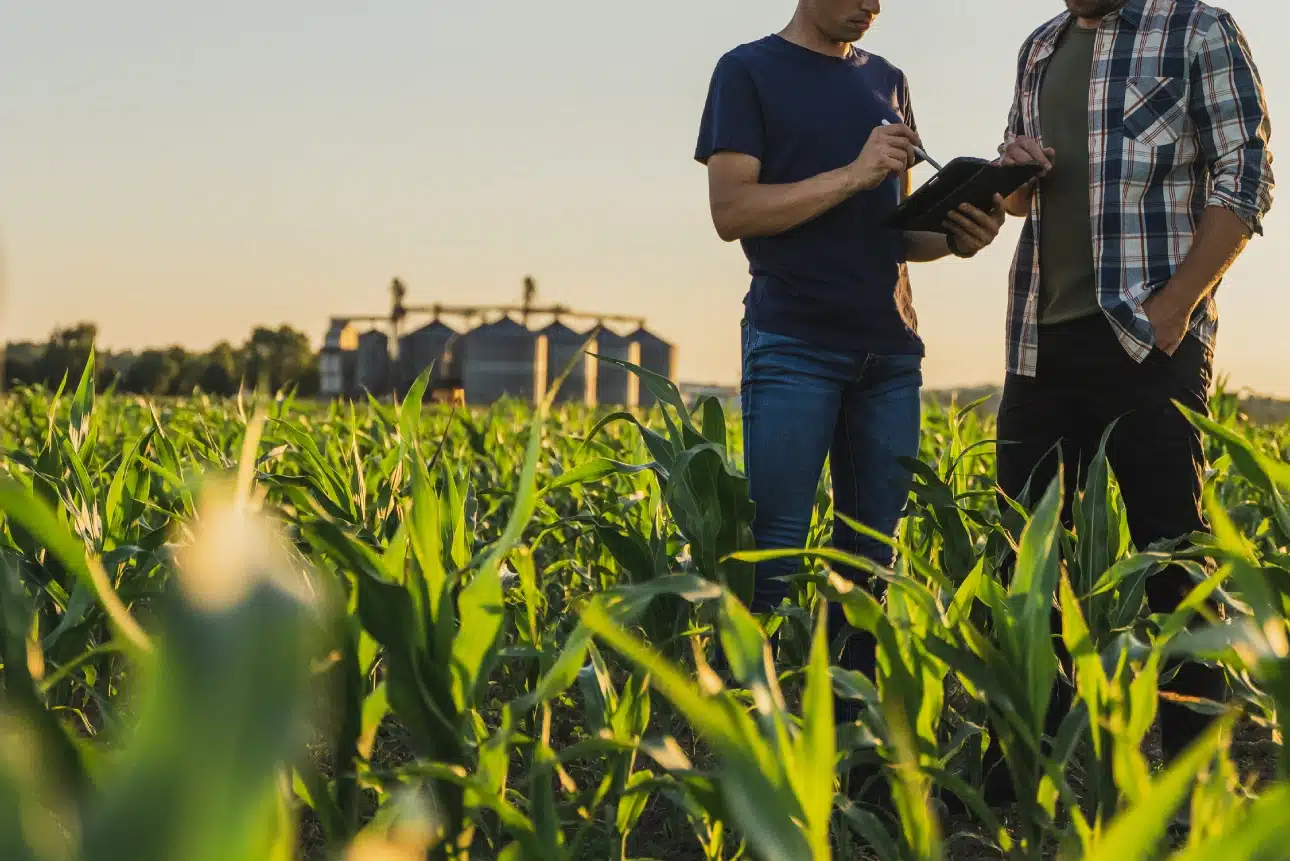 contactez-avicofarm-france