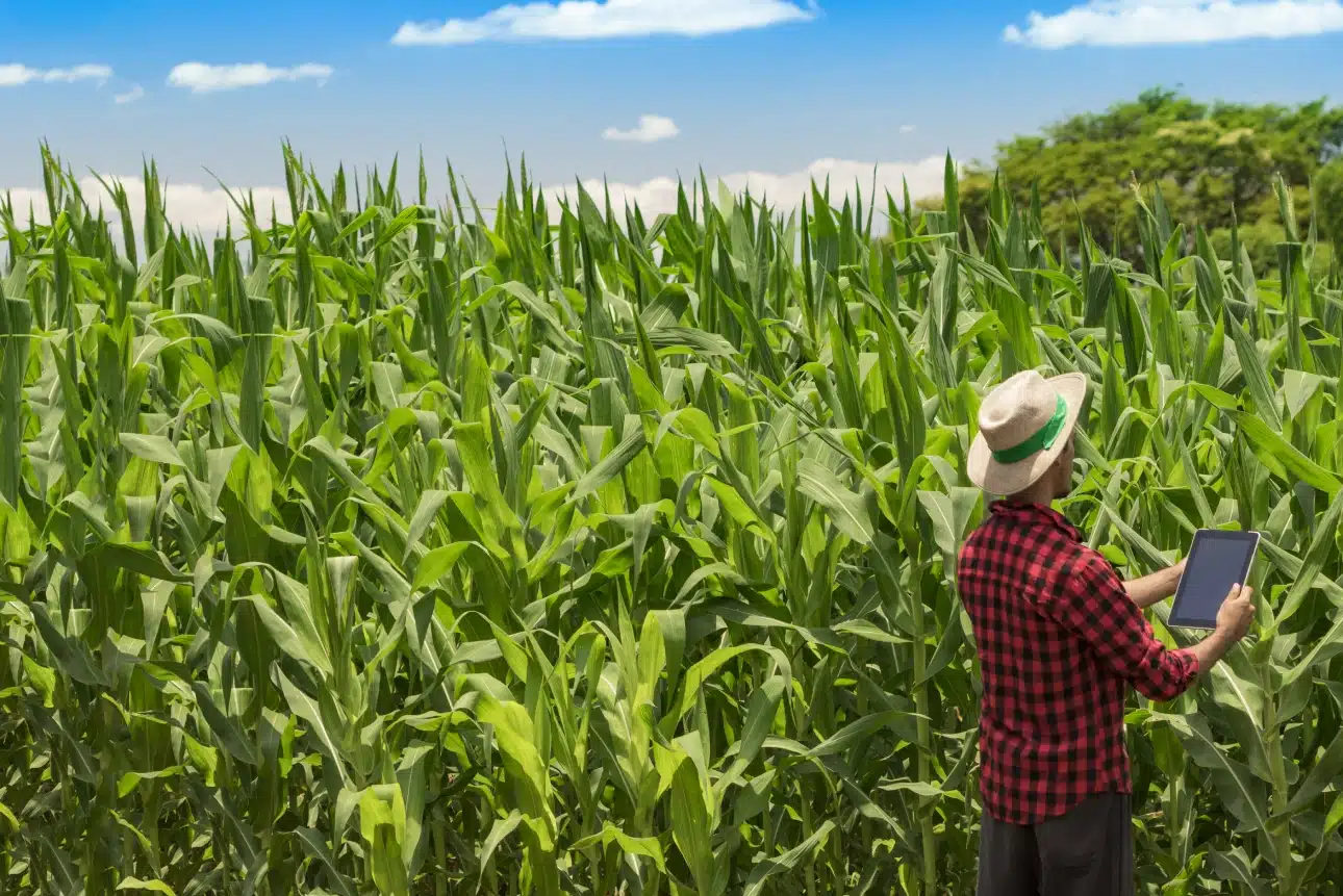 news-agriculture-france-belgique